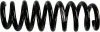 Fahrwerksfeder Hinterachse SACHS 994 486