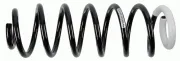 Fahrwerksfeder Hinterachse SACHS 994 534