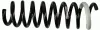 Fahrwerksfeder Hinterachse SACHS 994 685
