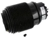 Luftfeder, Fahrwerk Hinterachse rechts SACHS 994 904