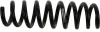 Fahrwerksfeder Hinterachse SACHS 994 983