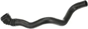 Kühlerschlauch unten GATES 05-4705