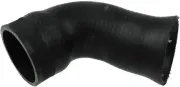 Ladeluftschlauch GATES 09-0253