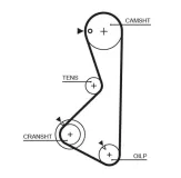 Zahnriemen GATES 5075XS