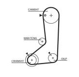 Zahnriemen GATES 5254XS