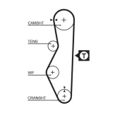 Zahnriemen GATES 5521