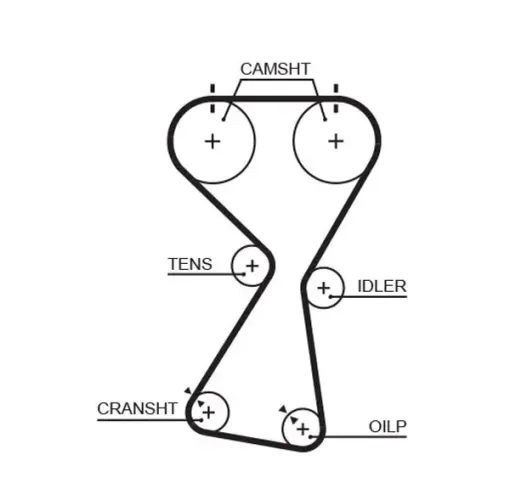 Zahnriemen GATES T256RB Bild Zahnriemen GATES T256RB