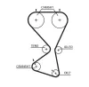 Zahnriemensatz GATES K015556XS Bild Zahnriemensatz GATES K015556XS