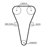 Zahnriemen GATES 5567XS