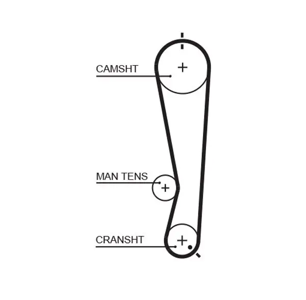 Zahnriemen GATES 5591XS