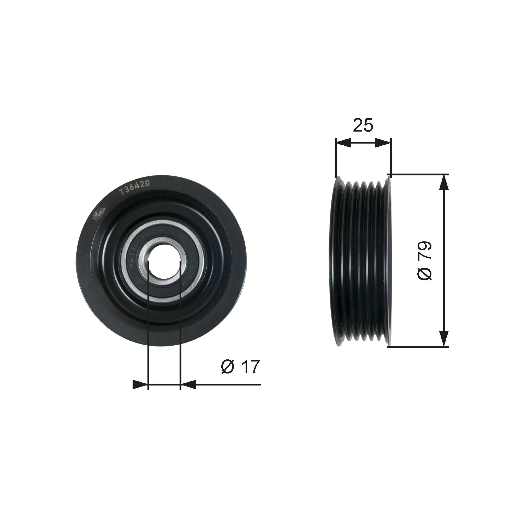 Umlenk-/Führungsrolle, Keilrippenriemen GATES T36420