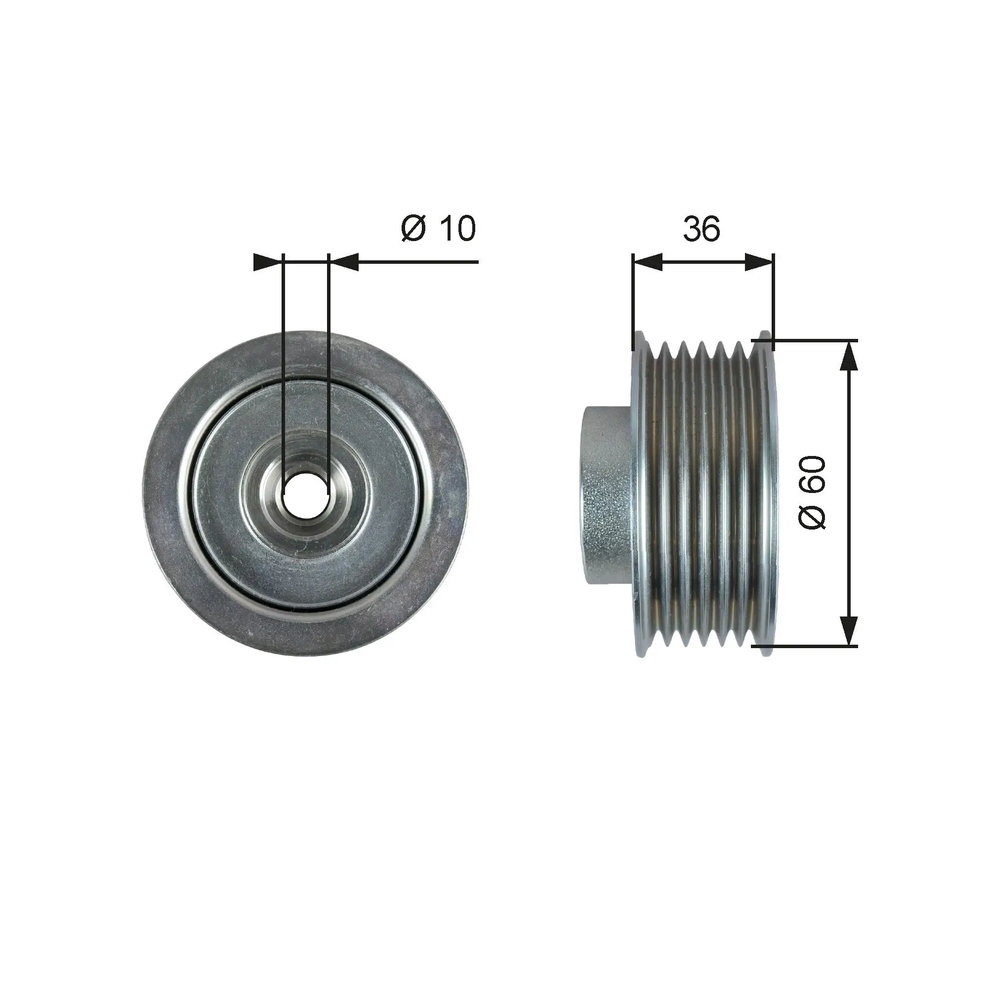 Umlenk-/Führungsrolle, Keilrippenriemen GATES T36753
