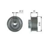 Umlenk-/Führungsrolle, Keilrippenriemen GATES T36753