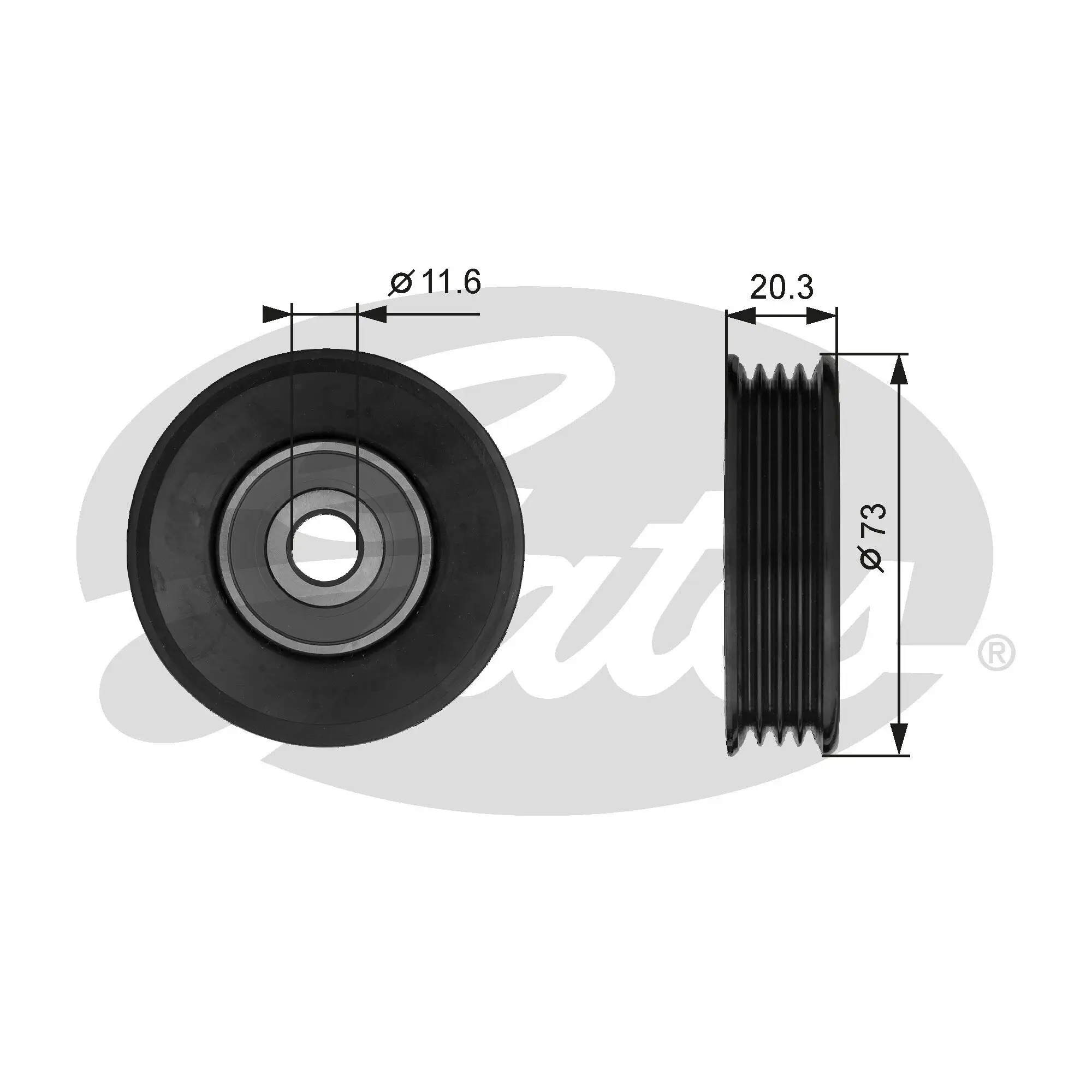 Umlenk-/Führungsrolle, Keilrippenriemen GATES T38031