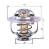 Thermostat, K&uuml;hlmittel GATES TH43880G1