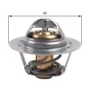 Thermostat, K&uuml;hlmittel GATES TH45975G1