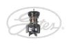 Thermostat, Kühlmittel GATES TH58492G1
