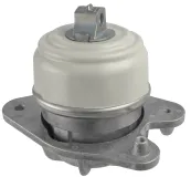 Lagerung, Motor rechts LEMFÖRDER 45955 01