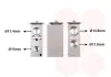 Expansionsventil, Klimaanlage VAN WEZEL 40001355