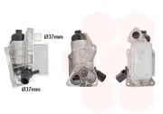 Ölkühler, Motoröl VAN WEZEL 43013715