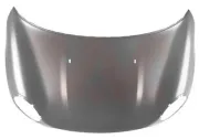 Motorhaube VAN WEZEL 0508660