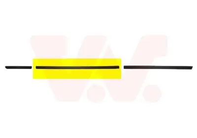 Zier-/Schutzleiste, Tür vorne rechts VAN WEZEL 0646424