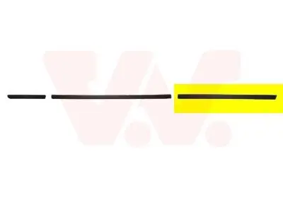 Zier-/Schutzleiste, Tür hinten links VAN WEZEL 0646425