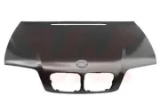 Motorhaube vorne VAN WEZEL 0647660