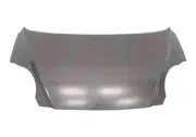 Motorhaube VAN WEZEL 0807670