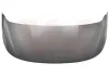 Motorhaube VAN WEZEL 0991670