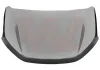 Motorhaube VAN WEZEL 1510670