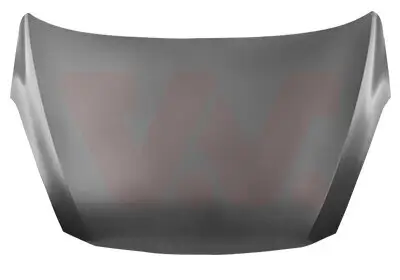 Motorhaube VAN WEZEL 1809660
