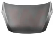 Motorhaube VAN WEZEL 1809660