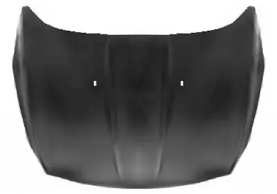 Motorhaube VAN WEZEL 1906670