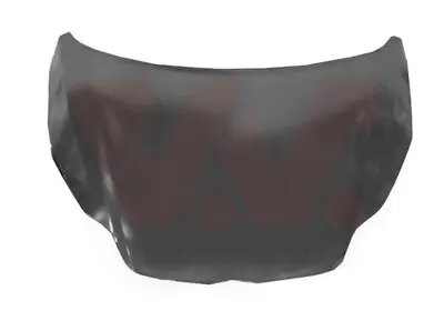 Motorhaube VAN WEZEL 1945660 Bild Motorhaube VAN WEZEL 1945660