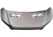 Motorhaube VAN WEZEL 1992670