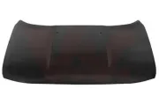 Motorhaube VAN WEZEL 2126670