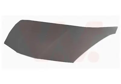 Motorhaube VAN WEZEL 2545660