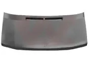 Motorhaube VAN WEZEL 3075660