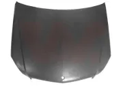 Motorhaube VAN WEZEL 3097660