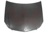 Motorhaube VAN WEZEL 3097670