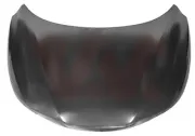 Motorhaube VAN WEZEL 3391660