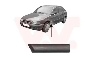 Zier-/Schutzleiste, Kotflügel vorne links VAN WEZEL 3734421