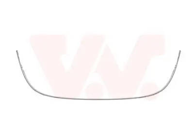 Zier-/Schutzleiste, Kühlergitter VAN WEZEL 3753518