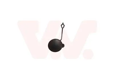 Klappe, Abschlepphaken vorne VAN WEZEL 3805588