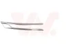 Zier-/Schutzleiste, Kühlergitter rechts VAN WEZEL 3810512