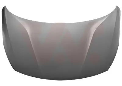Motorhaube VAN WEZEL 3812660