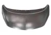 Motorhaube VAN WEZEL 3860660