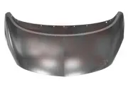 Motorhaube VAN WEZEL 3860660