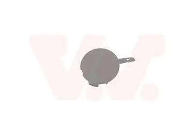 Klappe, Abschlepphaken vorne VAN WEZEL 3891588